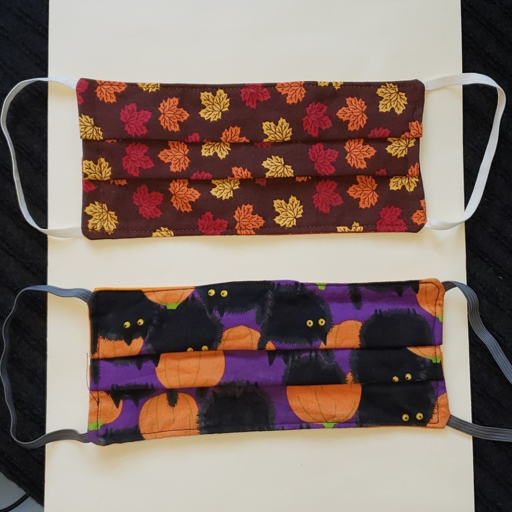 Pair of Reversable Seasonal Masks